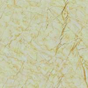 Gạch Trường Thịnh GENESIS SERIES Y88J91P